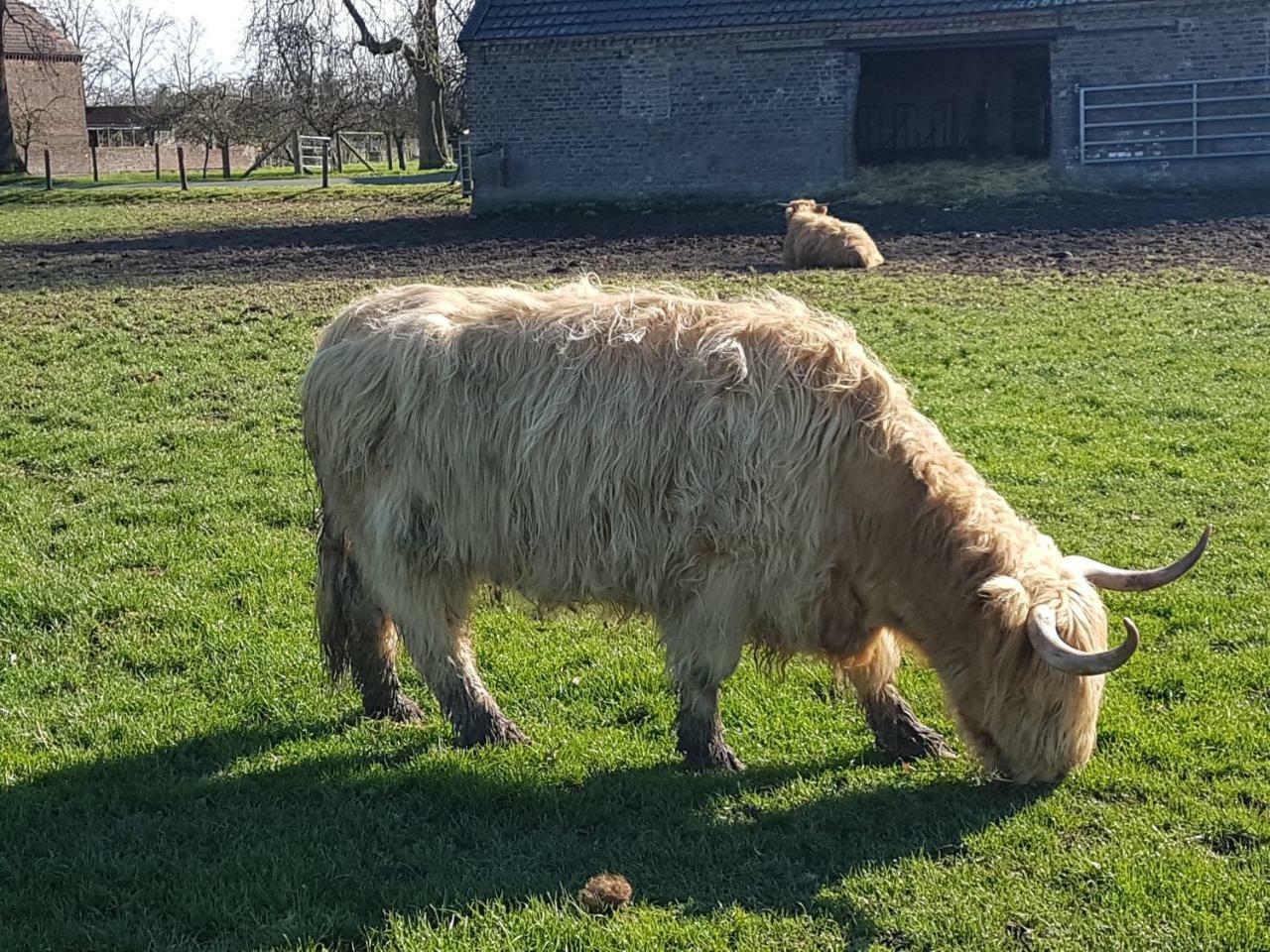 Domizil Xanten Zewnętrze zdjęcie